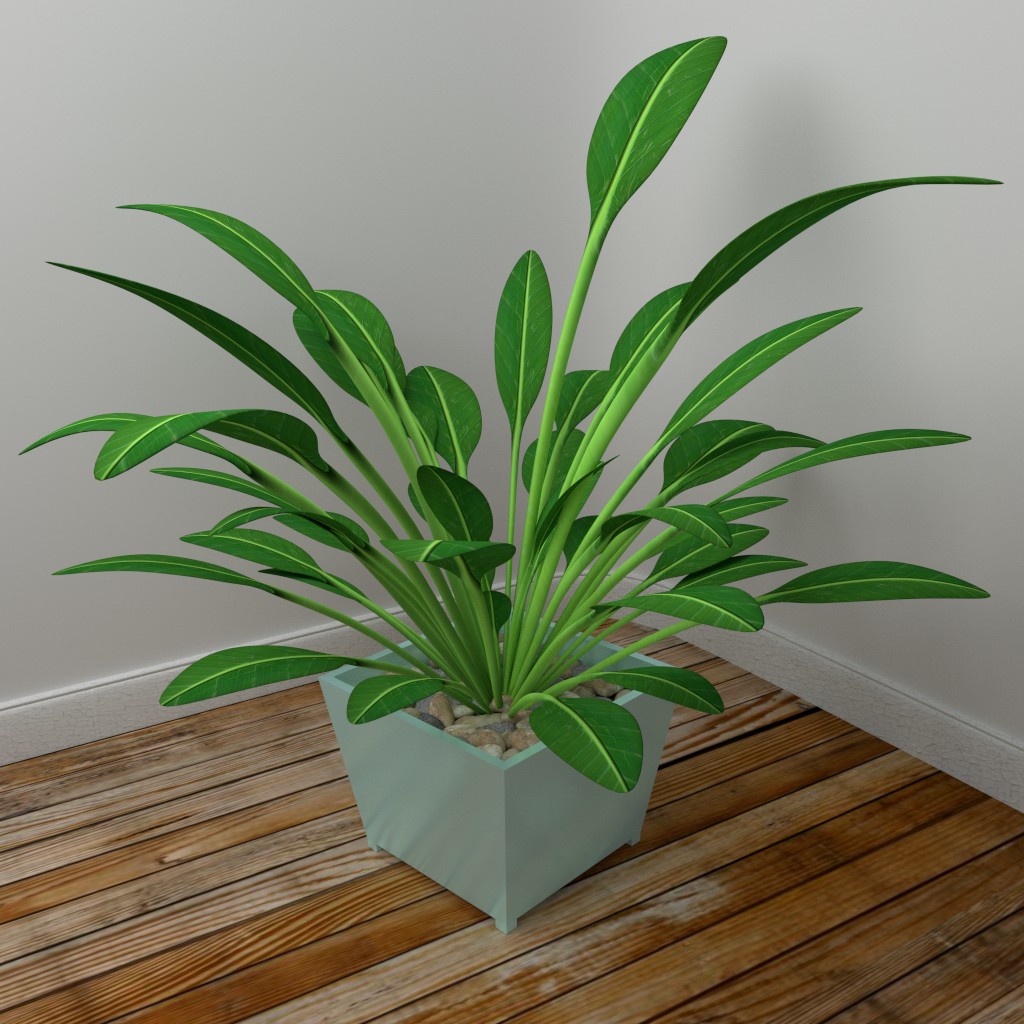Medium indoor plant preview image 1